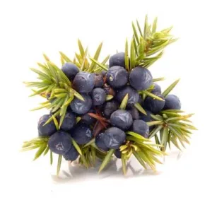 Aceite esencial de Baya de enebro