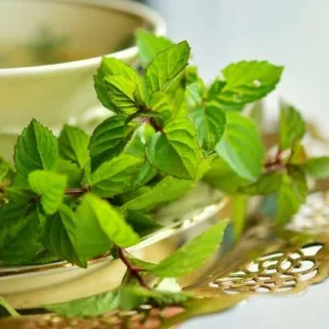 Aceite esencial de Hierbabuena