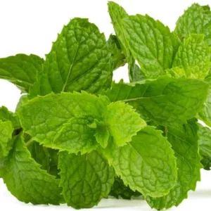 Aceite esencial de Menta citrata