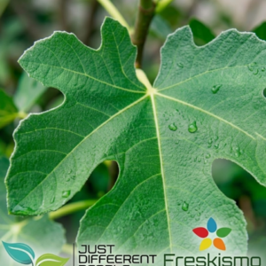 Close-up of a green leaf with water droplets; logos for Just Different People and Freskismo appear at bottom.